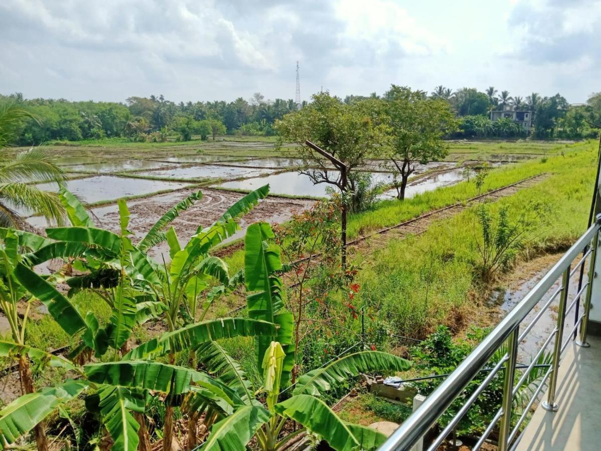 Freedom Of Green Rice View Anuradhapura Buitenkant foto