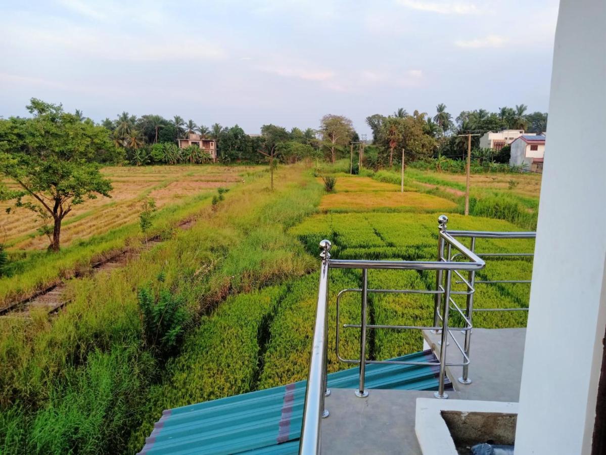 Freedom Of Green Rice View Anuradhapura Buitenkant foto