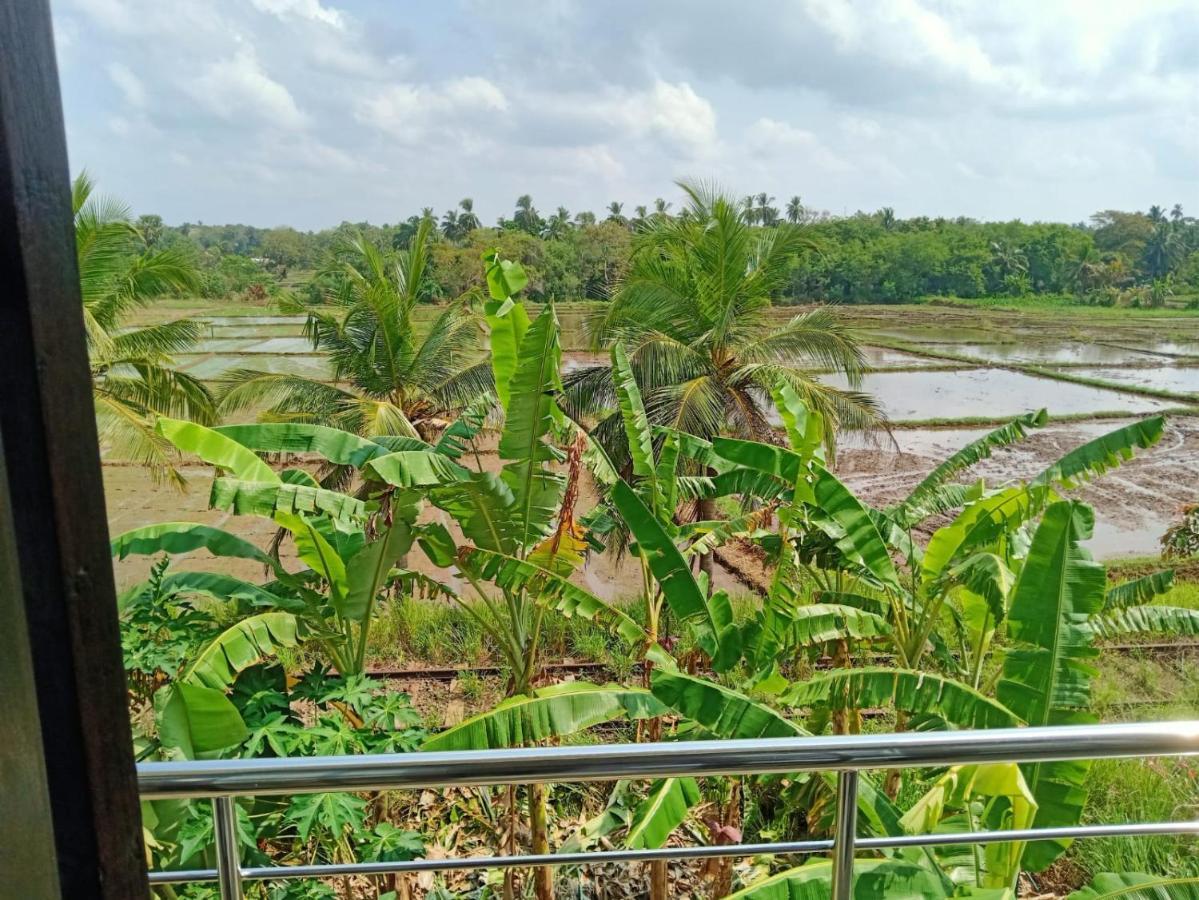 Freedom Of Green Rice View Anuradhapura Buitenkant foto