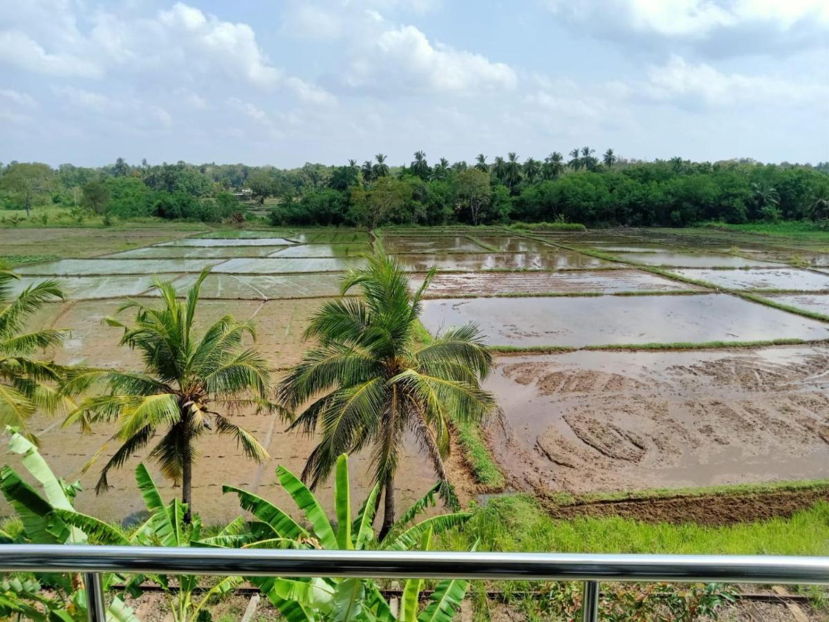 Freedom Of Green Rice View Anuradhapura Buitenkant foto