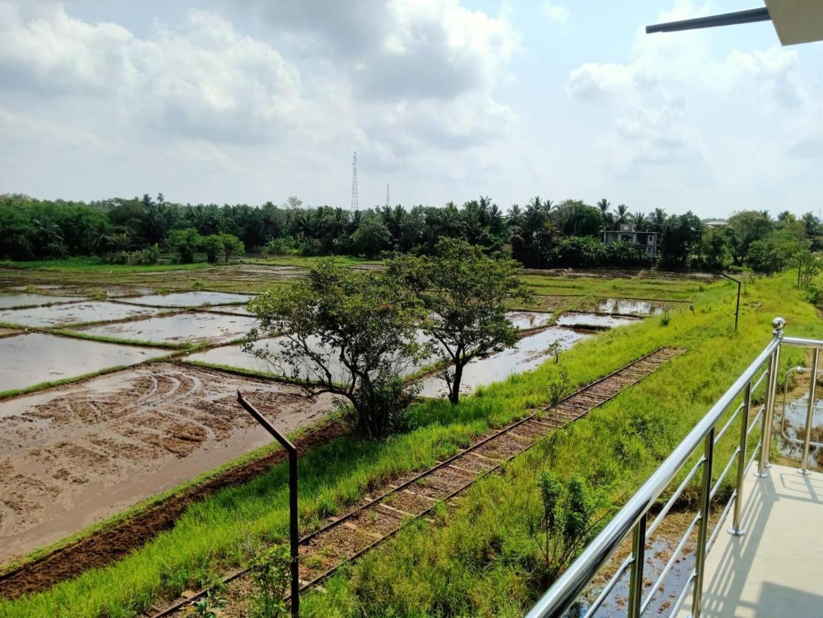 Freedom Of Green Rice View Anuradhapura Buitenkant foto