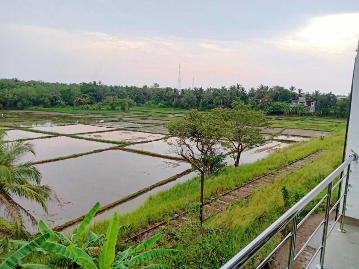 Freedom Of Green Rice View Anuradhapura Buitenkant foto