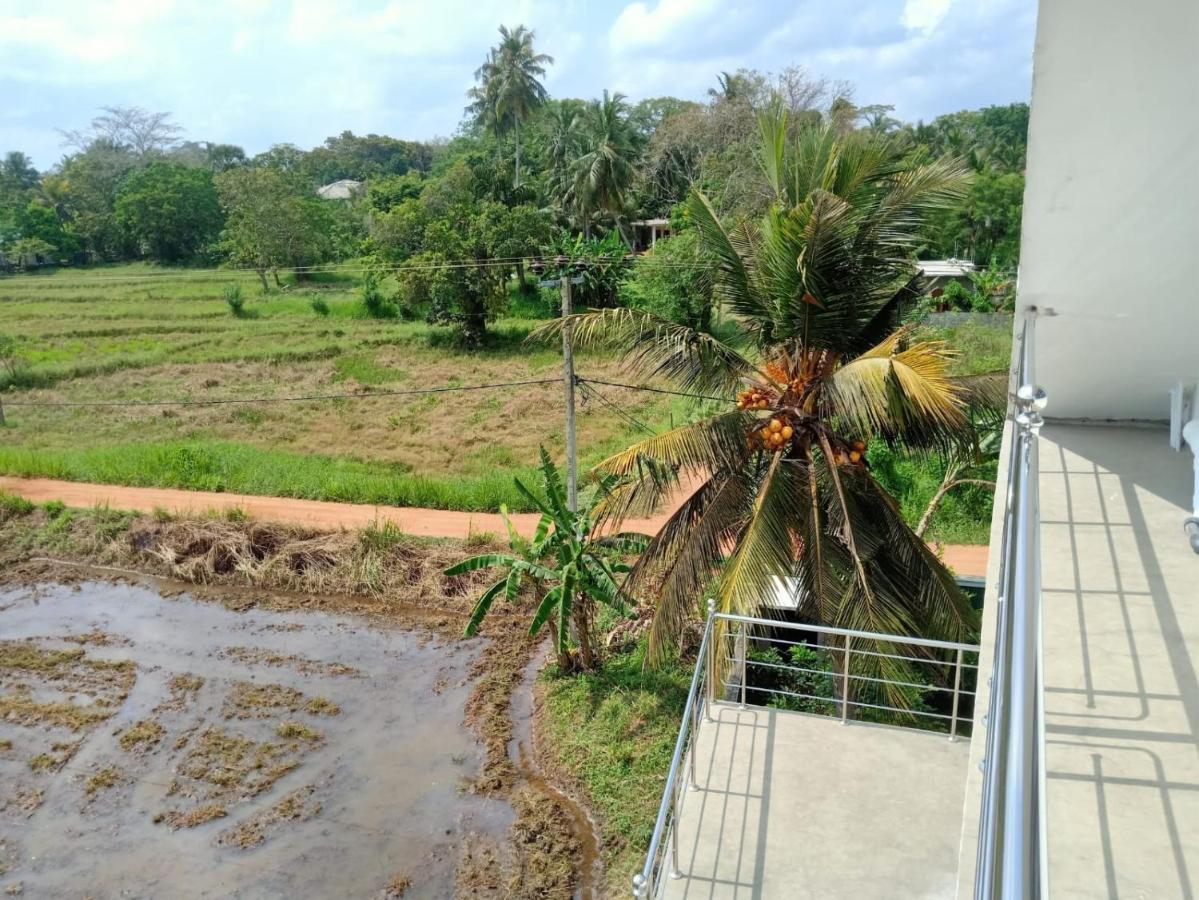 Freedom Of Green Rice View Anuradhapura Buitenkant foto