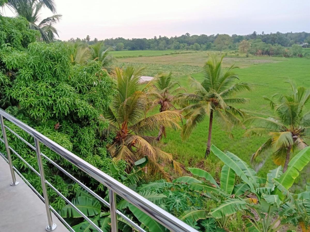 Freedom Of Green Rice View Anuradhapura Buitenkant foto